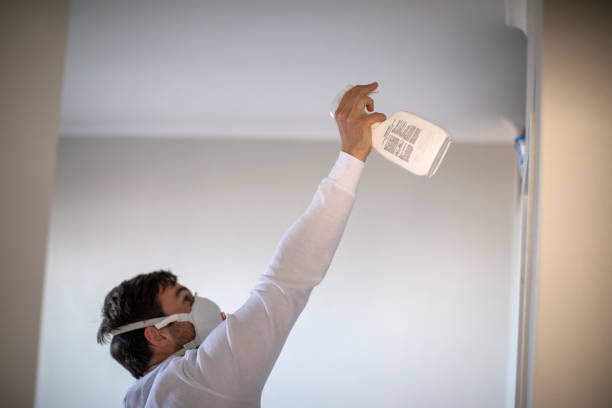 Trusted Crittenden, KY Mold Removal Experts